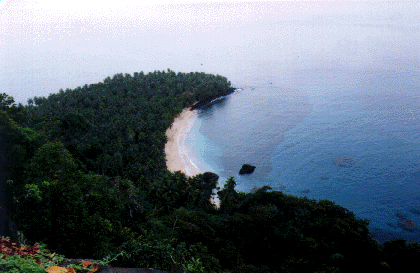 Foto: Praia Banana