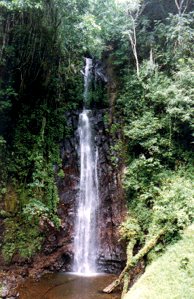 Foto: Cascata de S. Nicolau